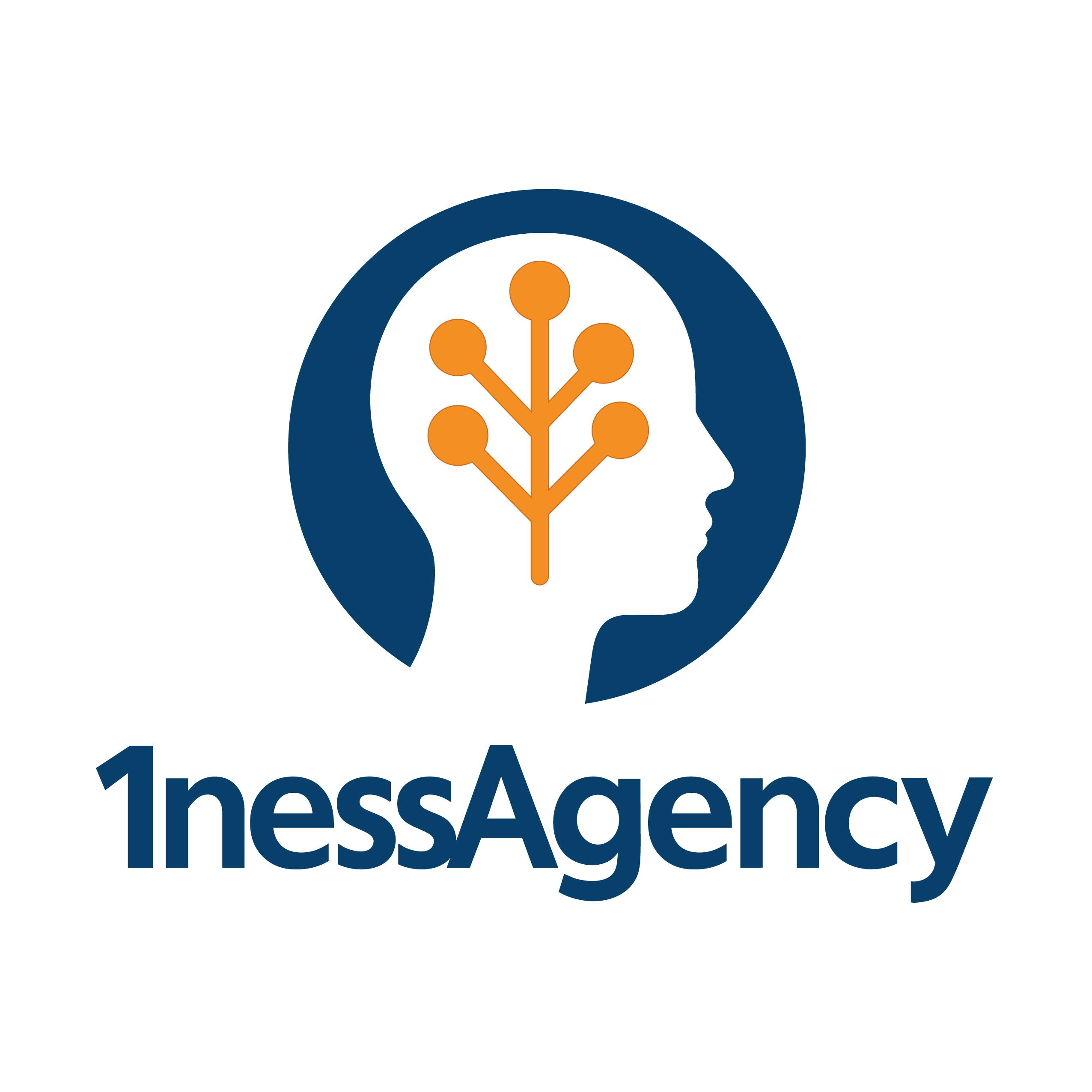 1ness Strategies logo
